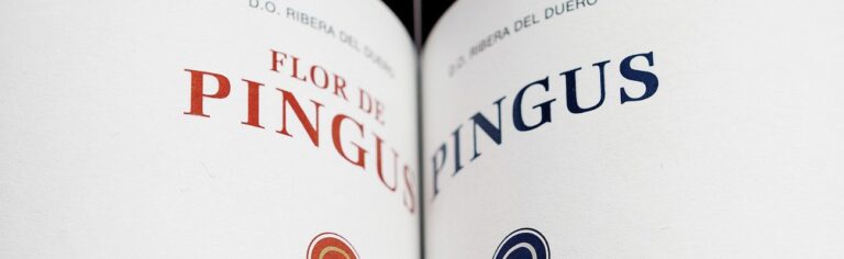 Pingus, el arte del vino