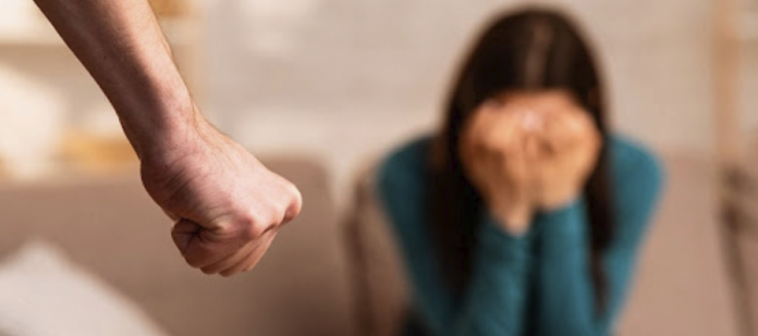 Violencia de genero en México - aumento de llamadas a 911