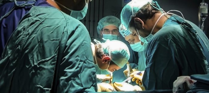 España bate récords en donación y trasplante de órganos en 2024 España bate récords en donación y trasplante de órganos en 2024